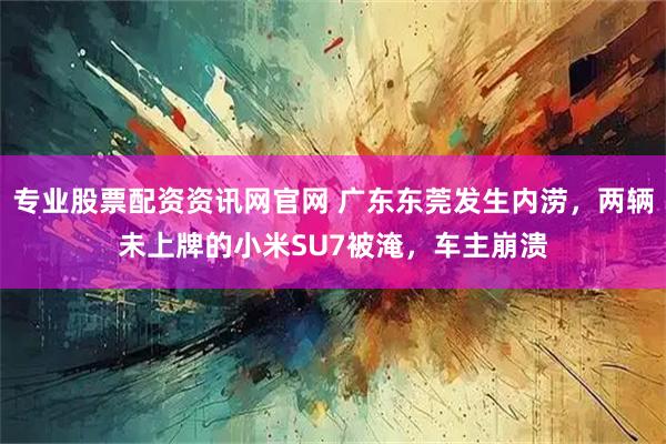 专业股票配资资讯网官网 广东东莞发生内涝，两辆未上牌的小米SU7被淹，车主崩溃